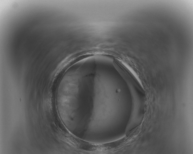 X0000062850295200601171518