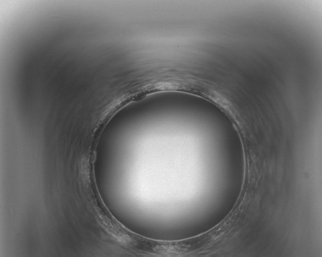 X0000062850297200601171518