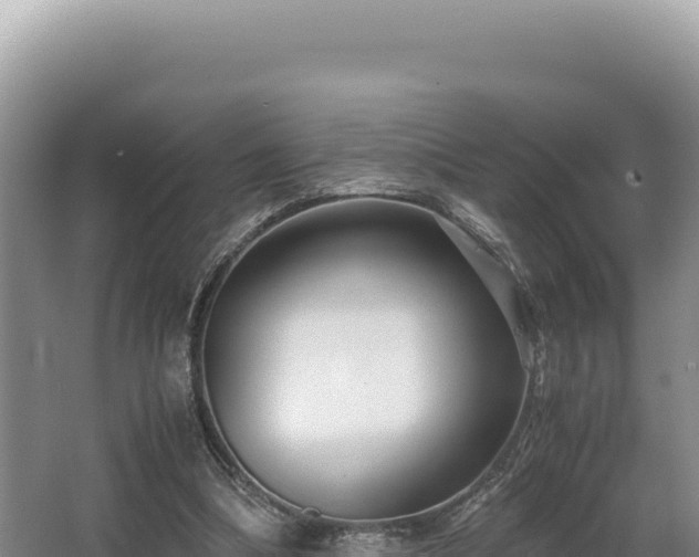 X0000062850298200601171518