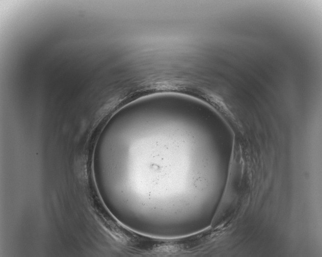 X0000062850299200601171518