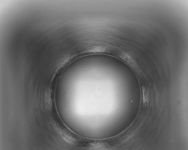 X0000062850300200601171518