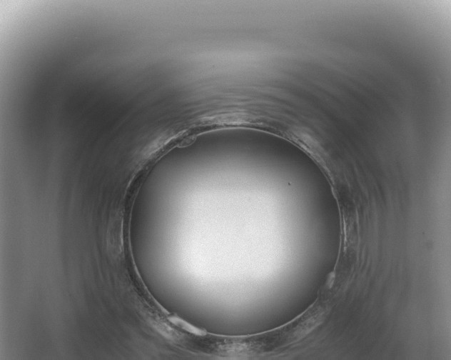 X0000062850301200601171518