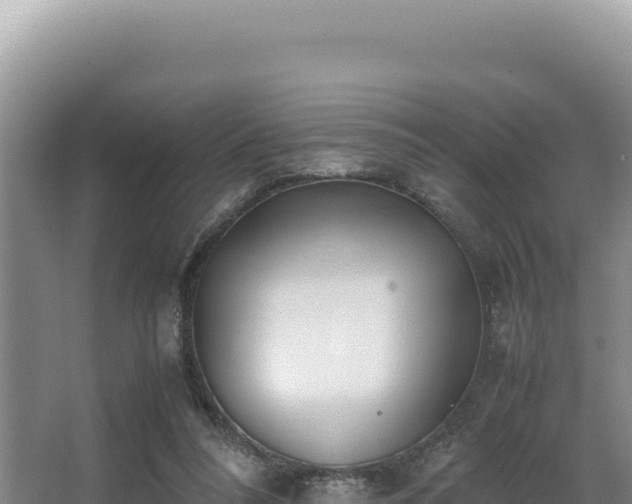 X0000062850304200601171518