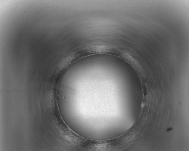 X0000062850306200601171518