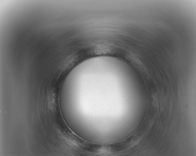 X0000062850308200601171518