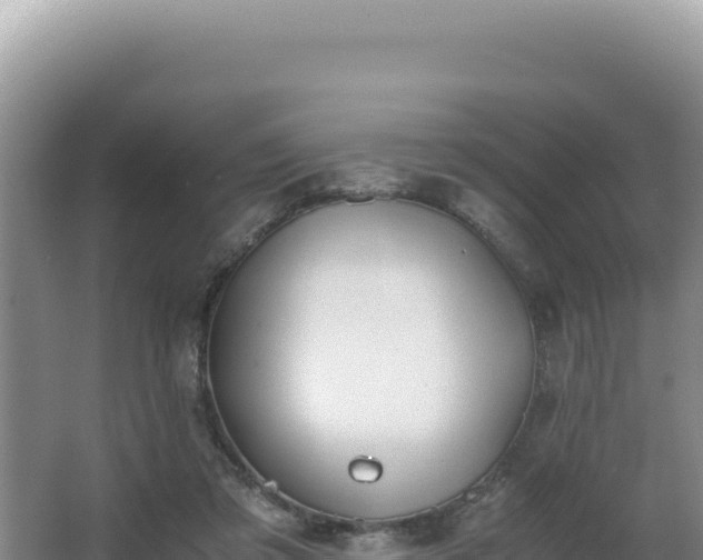 X0000062850309200601171518