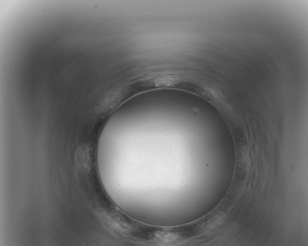 X0000062850311200601171518