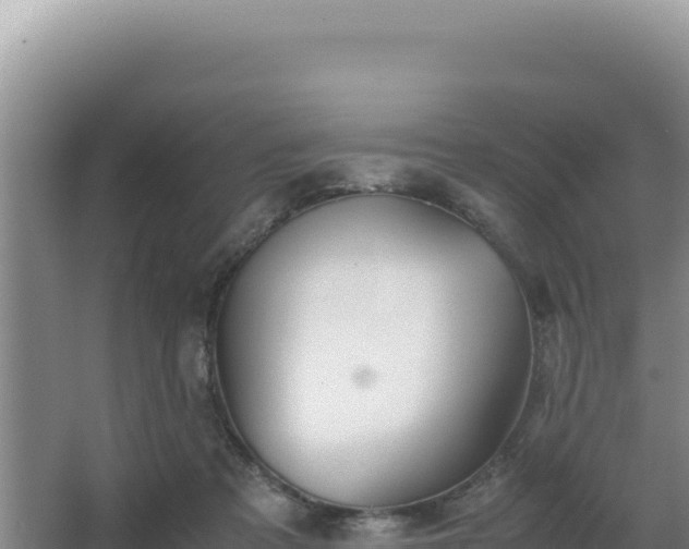 X0000062850313200601171518