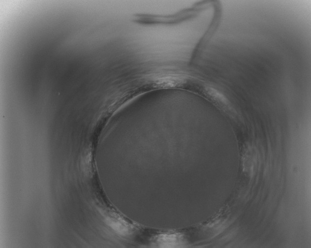 X0000062850314200601171518