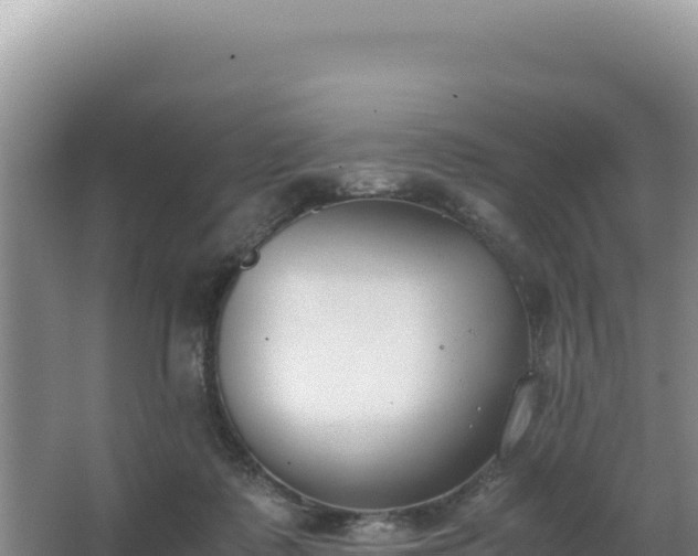 X0000062850315200601171518