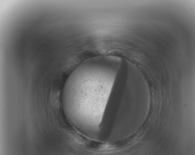 X0000062850319200601171518