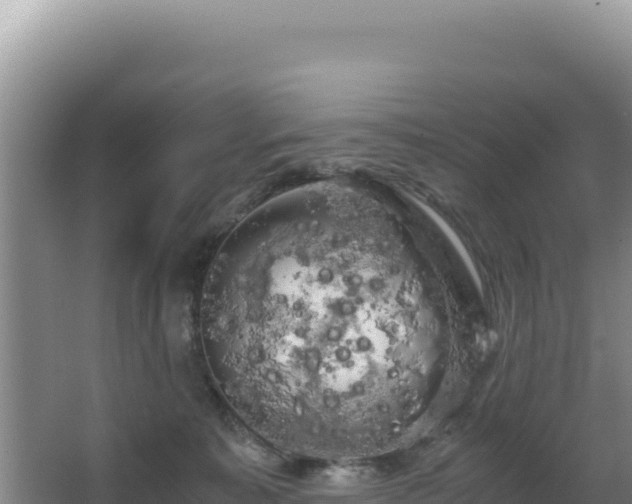 X0000062850323200601171518