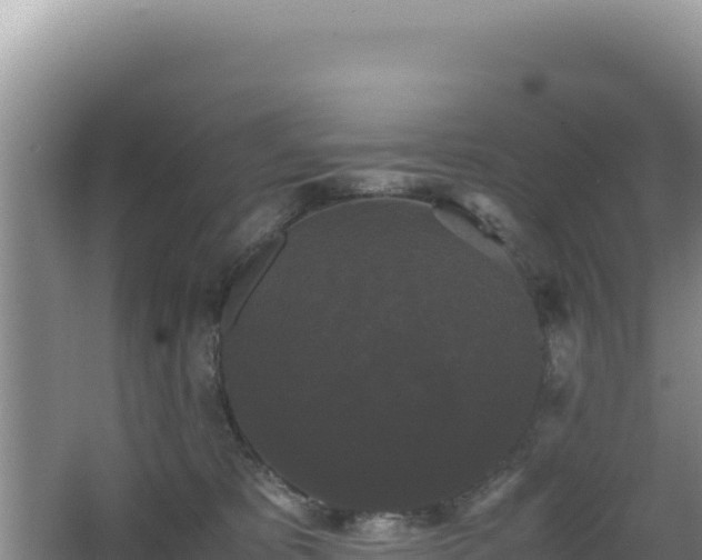 X0000062850325200601171518