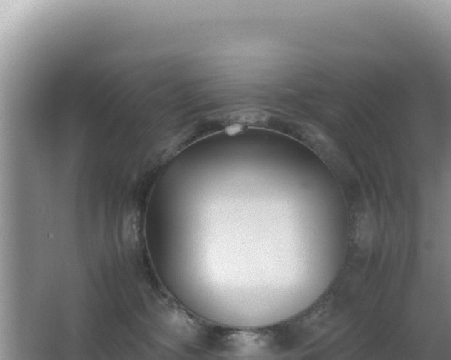 X0000062850326200601171518