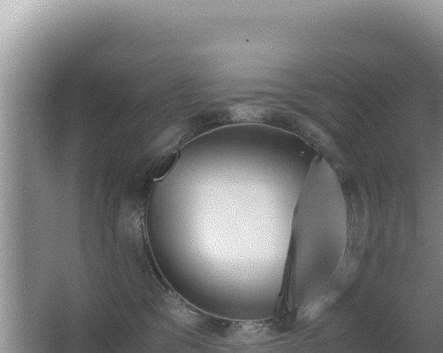 X0000062850329200601171518