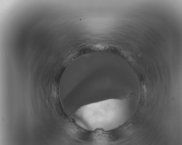 X0000062850331200601171518