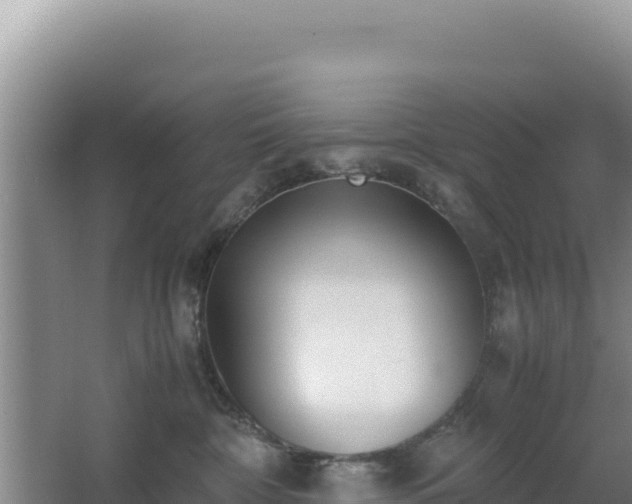 X0000062850332200601171517