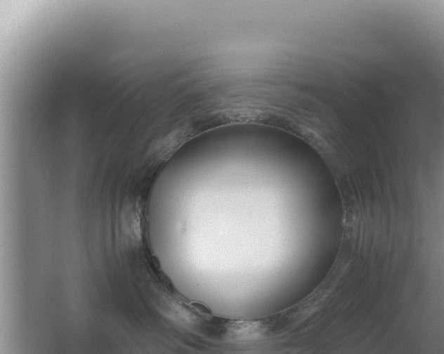 X0000062850334200601171517