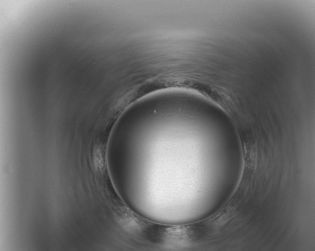 X0000062850335200601171517