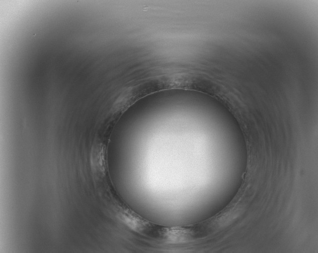 X0000062850336200601171517