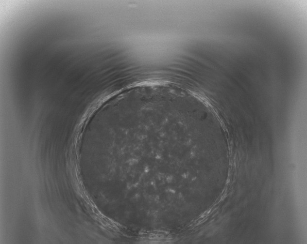 X0000062850337200601171517