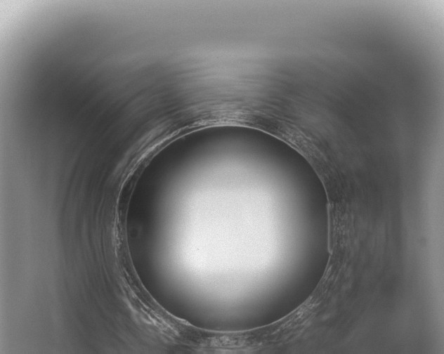 X0000062850338200601171517