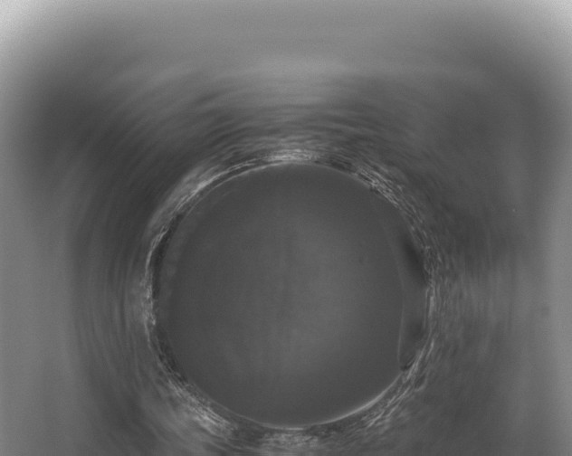 X0000062850339200601171517