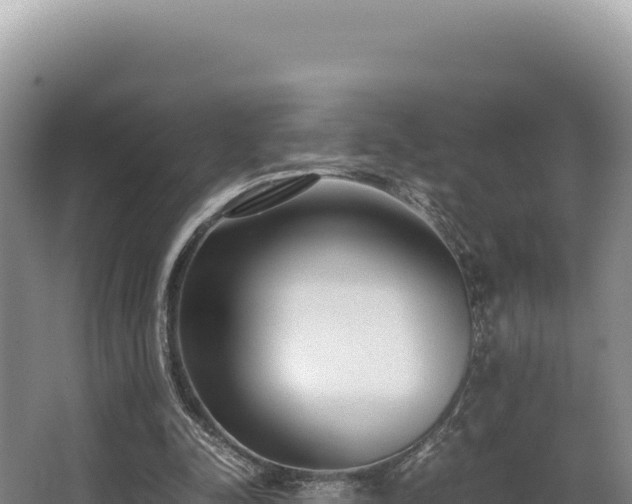 X0000062850342200601171517