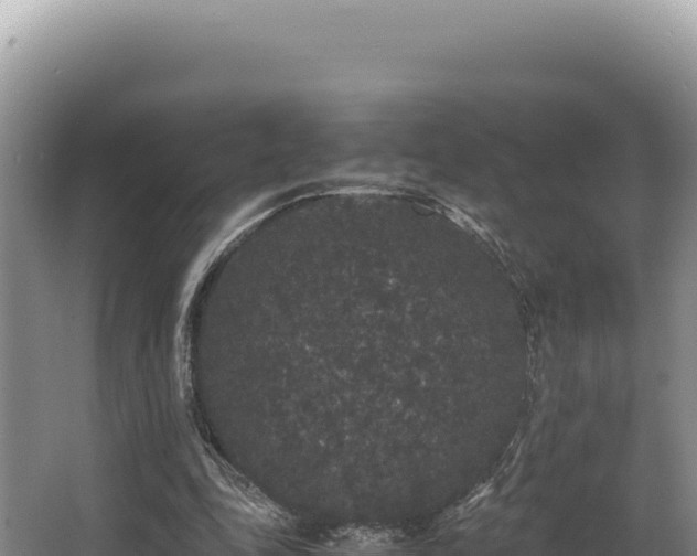 X0000062850343200601171517