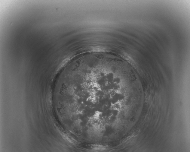 X0000062850347200601171517