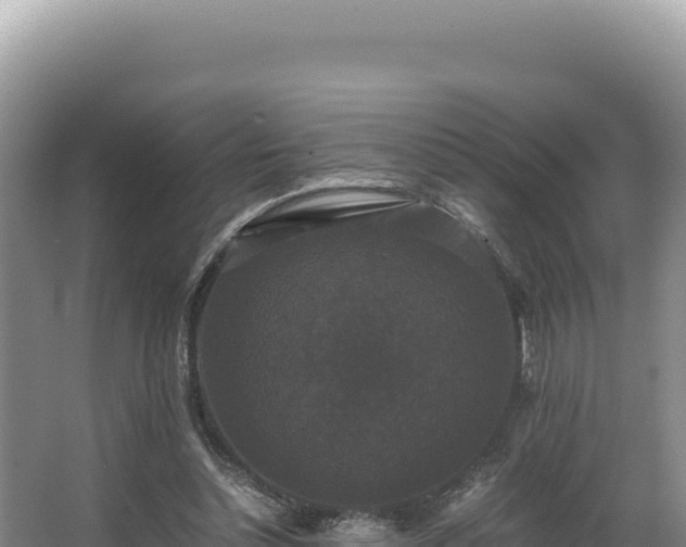 X0000062850348200601171517