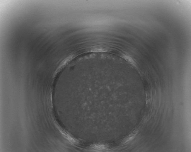 X0000062850349200601171517