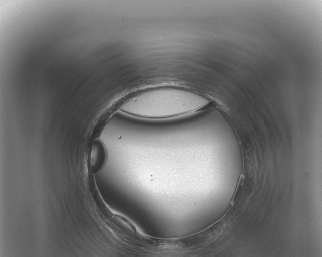 X0000062850350200601171517