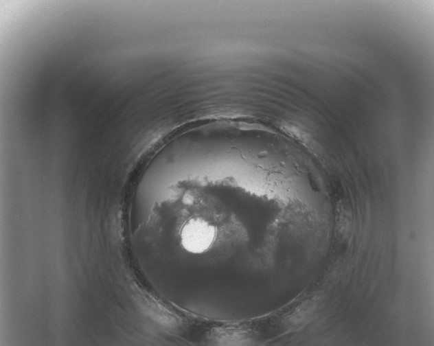 X0000062850351200601171517