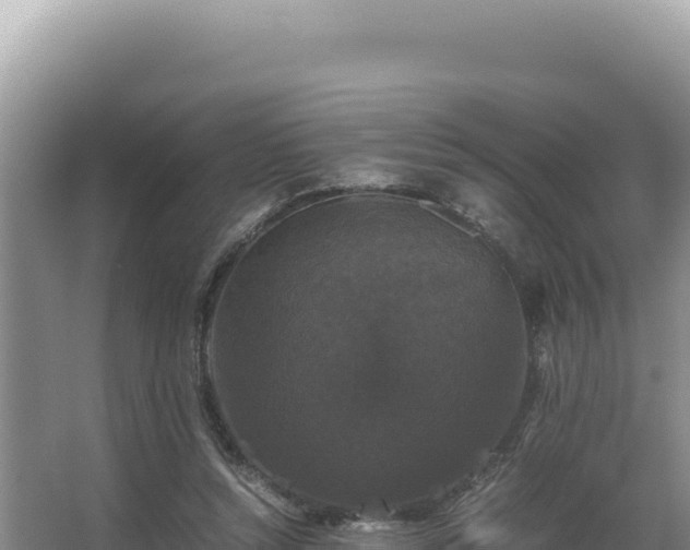 X0000062850352200601171517