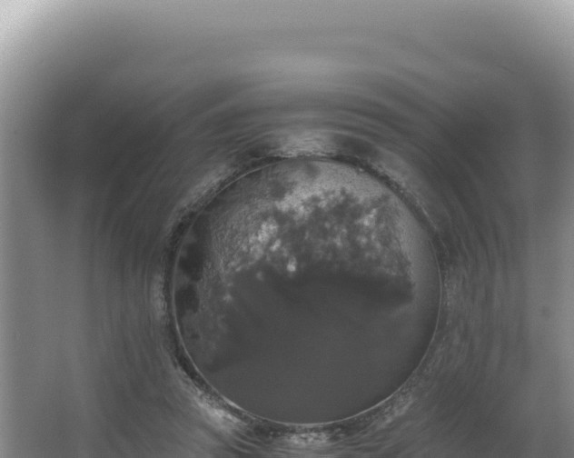 X0000062850353200601171517