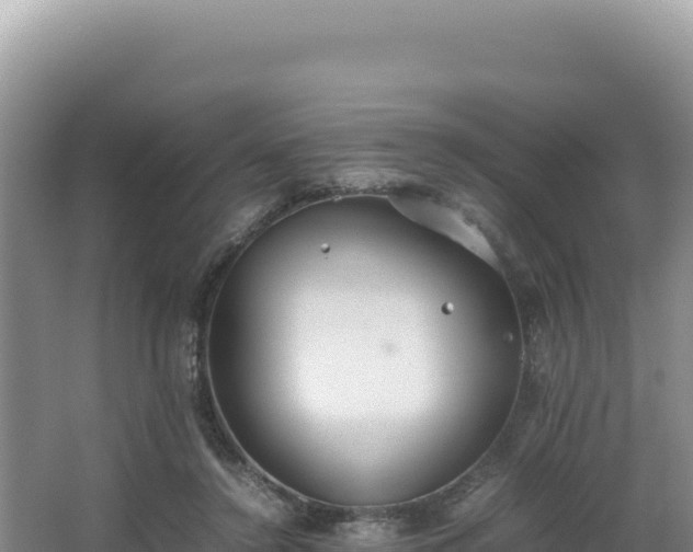 X0000062850356200601171517