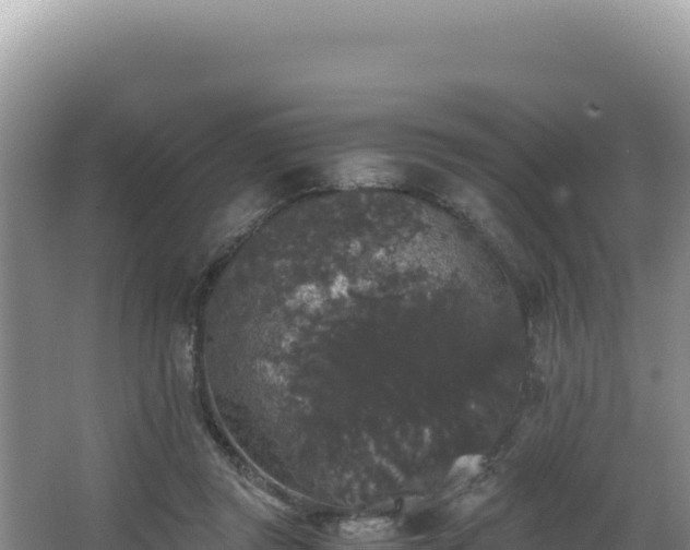 X0000062850357200601171517