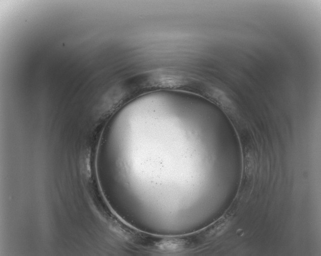 X0000062850358200601171517