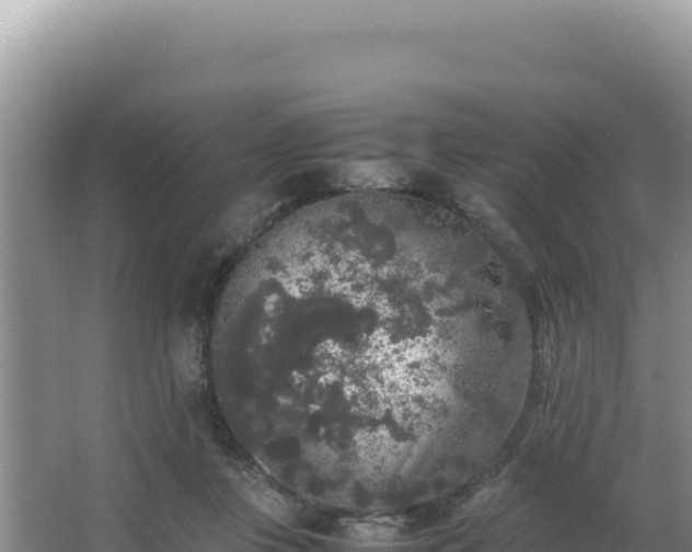 X0000062850359200601171517