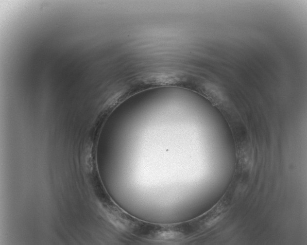 X0000062850360200601171517