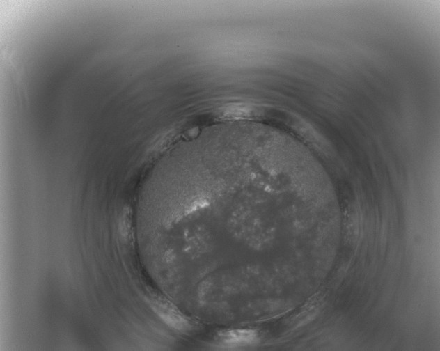 X0000062850361200601171517