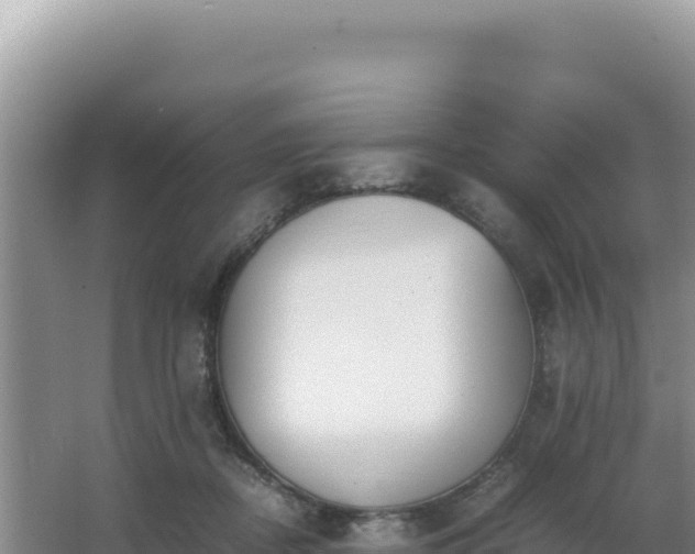 X0000062850362200601171517