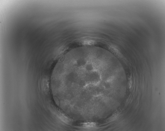 X0000062850363200601171517