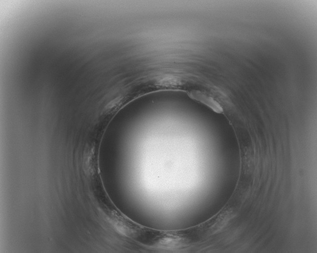 X0000062850364200601171517