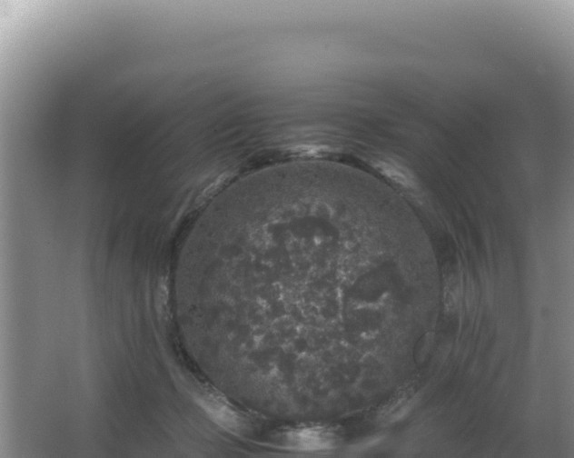 X0000062850365200601171517