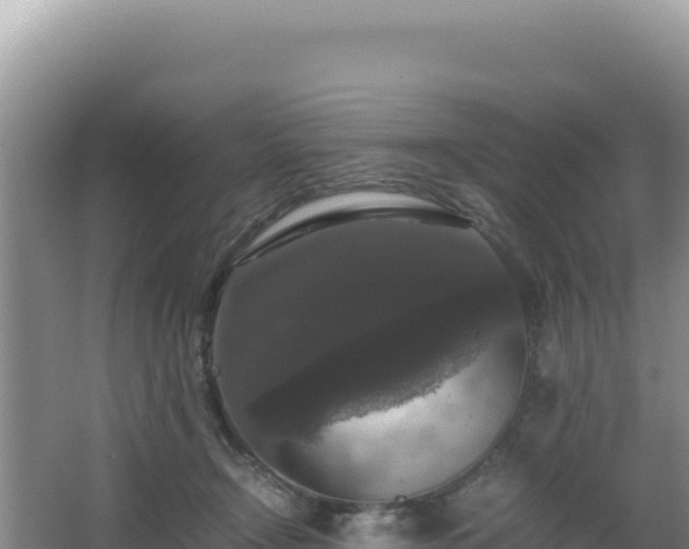 X0000062850366200601171517