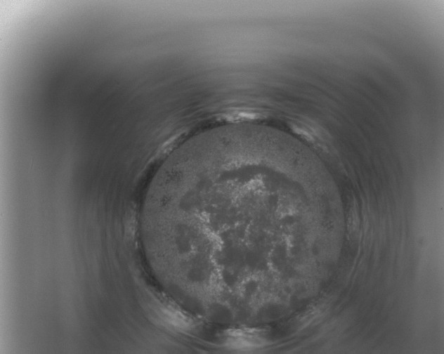 X0000062850367200601171517