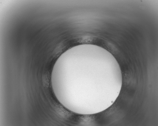 X0000062850370200601171517