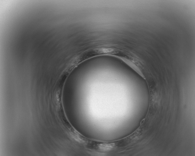 X0000062850373200601171517